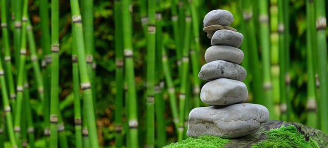 Les pierres jouent aussi un rôle très important dans la composition d’un Petit Jardin Japonais